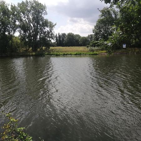 Ferienhaus Zur Alten Schleuse Wettin ภายนอก รูปภาพ